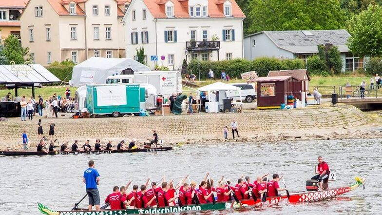 Tradition beim Elbhangfest: das Drachenbootrennen.
