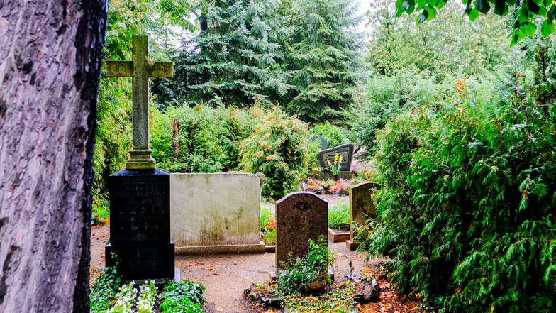 Pietät und Zurückhaltung, Achtung vor den Trauernden: Das sind Regeln, an die sich auf einem Friedhof jeder halten sollte. Deshalb ist eine Videoüberwachung auch nicht möglich, um dem Pflanzendieb auf die Schliche zu kommen.