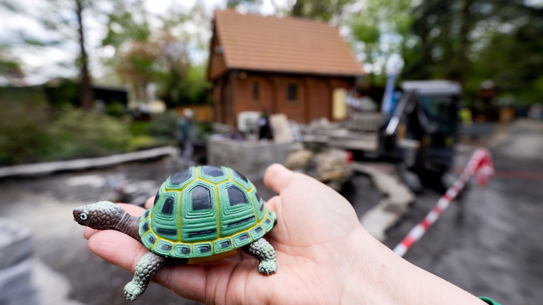 Neues Zuhause für Emil und Emilia: Tierpark Bischofswerda baut Schildkröten-Anlage