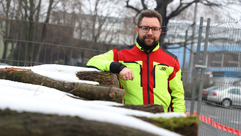 Gärtnermeister Josef Arndt hat mit seinen Kollegen einen großen Stapel Bäume für das neue Orang-Utan-Haus organisiert.