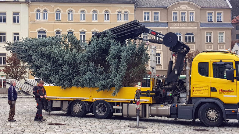 Per Lkw wurde der Baum auf den Markt transportiert. 