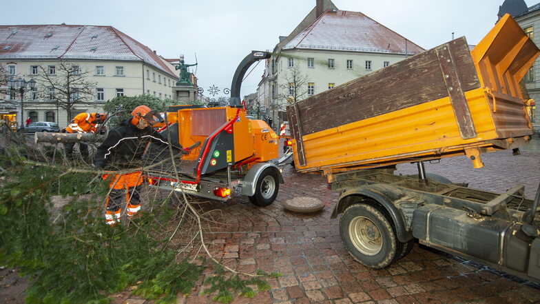 Mitarbeiter des Großenhainer Stadtbauhofes haben am Freitag den Weihnachtsbaum auf dem Hauptmarkt zersägt und geschreddert.