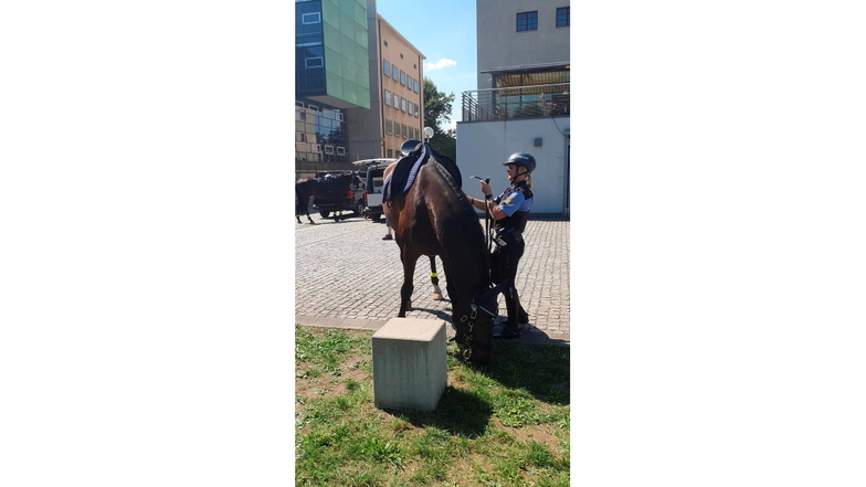 Teil der Polizei ist auch die Reiterstaffel. Die Polizei-Pferde sind ebenfalls an der Wiese hinter dem Landtag zu finden.