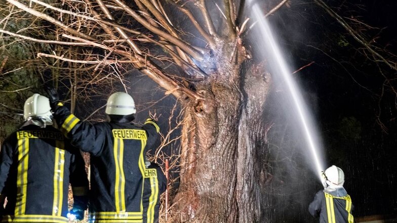 Gegen 0.30 Uhr am Neujahrsmorgen wurde die Feuerwehr nach Friedrichswalde gerufen. Eine alte Linde brannte.