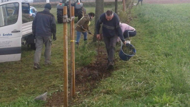 In Reinersdorf macht der Heimat- und Traditionsverein vorbildlich vor, dass man Bäume nicht nur pflanzen darf, sondern auch pflegen muss.