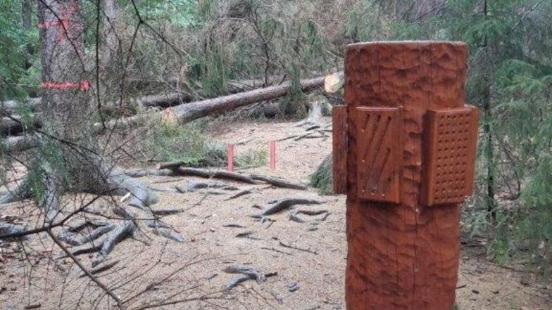 Schäden nach Borkenkäferbefall: Bei Grillenburg wurde der Sinnespfad gesperrt.