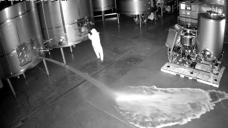 Auf dieser Aufnahme einer Sicherheitskamera ist eine Person zu sehen, die im Lagerraum des Weinguts Cepa 21 Wein verschüttet.