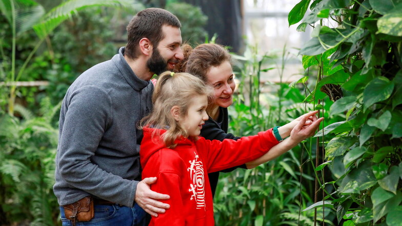 Natürlich das Schmetterlingshaus, das in diesem Jahr sein 20-jähriges Bestehen gefeiert hat. Über 200 Schmetterlinge in 35 verschiedenen Arten flattern durch das Tropenhaus.

Zu sehen sind auch Äffchen,  Reptilien, Schlangen, Spinnen, Insekten und zahlreiche Fischarten im großen Seewasseraquarium. Geöffnet ist täglich 10 bis 18 Uhr. Erwachsene Zahlen 9 Euro, Kinder 5,50 Euro, Familien 24 Euro,