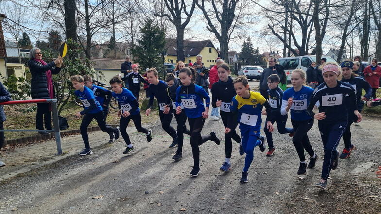Mit viel Enthusiasmus gehen die Läufer beim Crosslauf in Pulsnitz - wie hier im vergangenen Jahr - auf die Strecke.