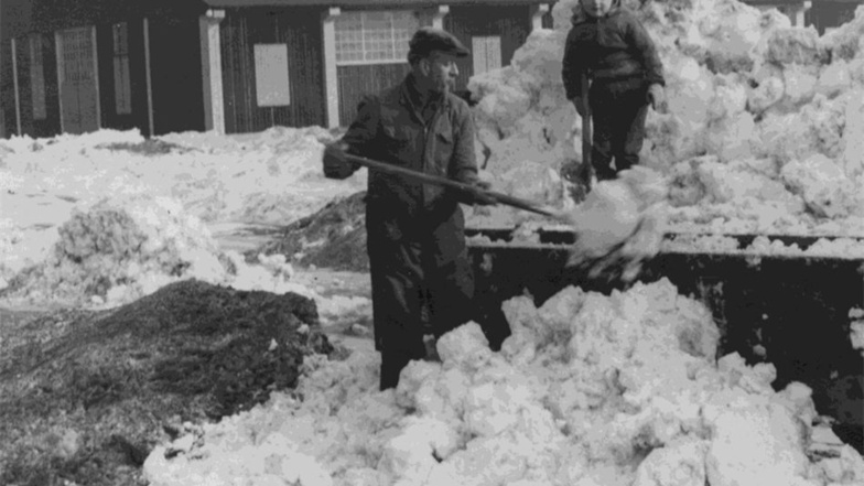 1965 wurden die Schneemassen von den Radebeuler Straßen auf die Festwiese nach Kötzschenbroda gefahren.