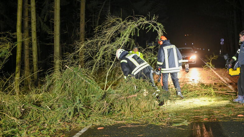 Die Feuerwehr räumt am frühen Morgen einen umgestürzten Baum von der Löbauer Straße zwischen Strahwalde und Ottenhain.