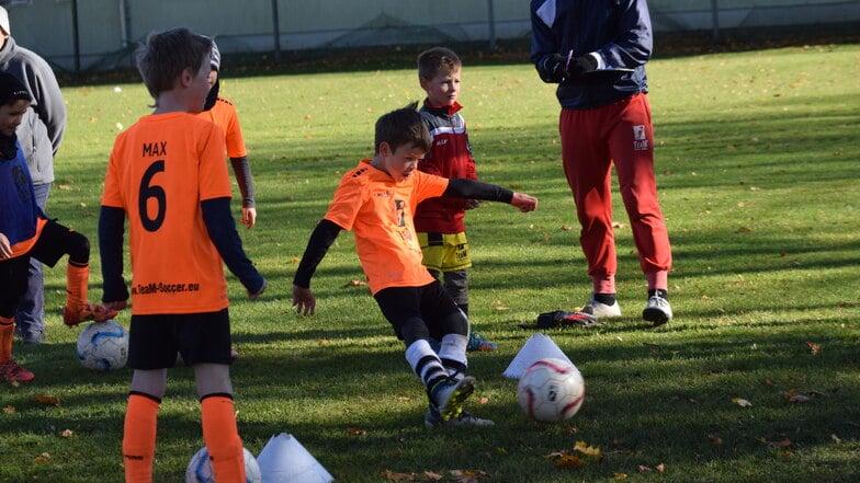 Die Fußballschule TeaM-Soccer entdeckt und fördert junge Kicker-Talente