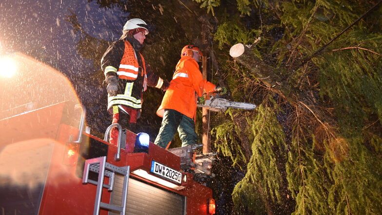 Im Vergleich zum Vorjahr haben sich 2022 die Einsätze wegen Stürmen mehr als verdoppelt. Hier die Feuerwehr Altenberg, die im Februar in Waldbärenburg einen Baum beseitigt, der an der B170 auf die Fahrbahn und in eine Telefonleitung gestürzt ist.
