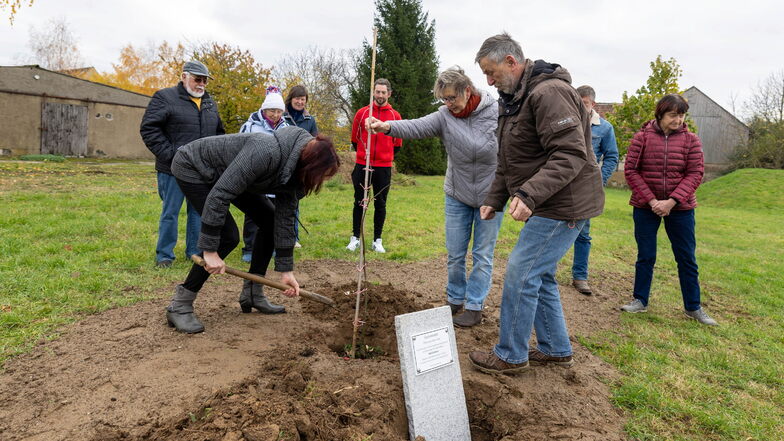 Zur Erinnerung an den verstorbenen Roßweiner Bürgermeister Veit Lindner pflanzen Ortschaftsrätin Anke Weber, Martina Arnold vom Verein „Wetterhöhe 318“ und Ortsvorsteher Bernd Handschack auf dem Festplatz in Gleisberg eine Linde und setzen eine Gedenktafe