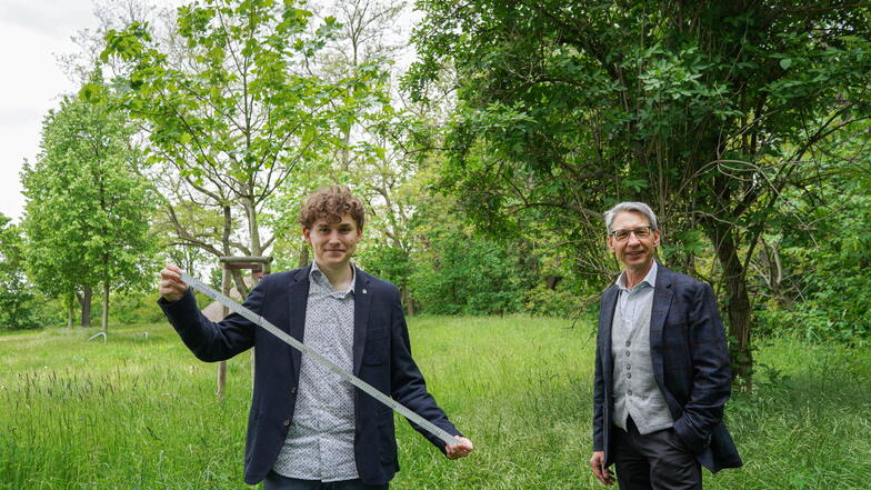 Jonas Löschau (l.) und Claus Gruhl von den Grünen wünschen sich mehr Schutz für Bäume in Bautzen - auch für solche, die einen geringeren Stammumfang haben als einen Meter.