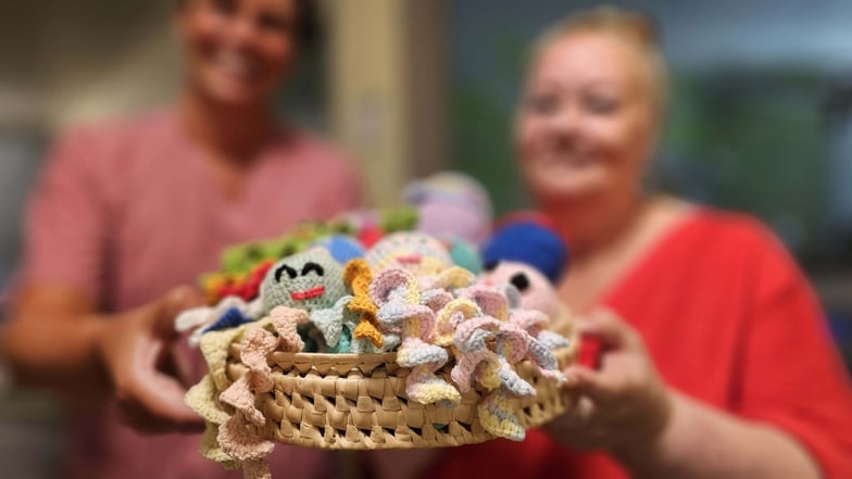 Einige der gehäkelten Kraken für die Frühchen im Görlitzer Klinikum.