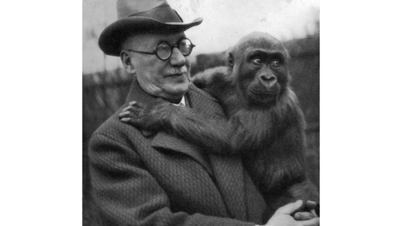 Professor Gustav Brandes mit Gorilla
