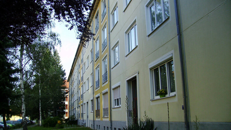 In dem Haus Otto-Damerau-Straße
1 bis 7 gibt es so um die vierzig Wohnungen, von denen eine Reihe bereits jetzt leer steht.