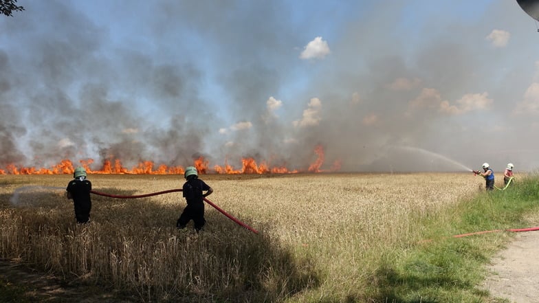 Auf seiner ganzen Breite steht das Feld am Holländerweg in Flammen. die Flammen werden von mehrere Löschtrupps bekämpft.