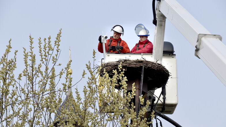 An einem Mast neben der Grünberger Kirche haben Mitarbeiter von Sachsen-Energie eine Kamera installiert. Sie überträgt live aus dem Storchennest.