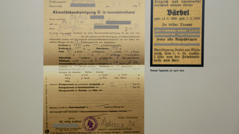 Relikte eines Schicksals: Unterlagen, die Leben und Tod eines vierjährigen Riesaer Euthanasie-Opfers dokumentieren.