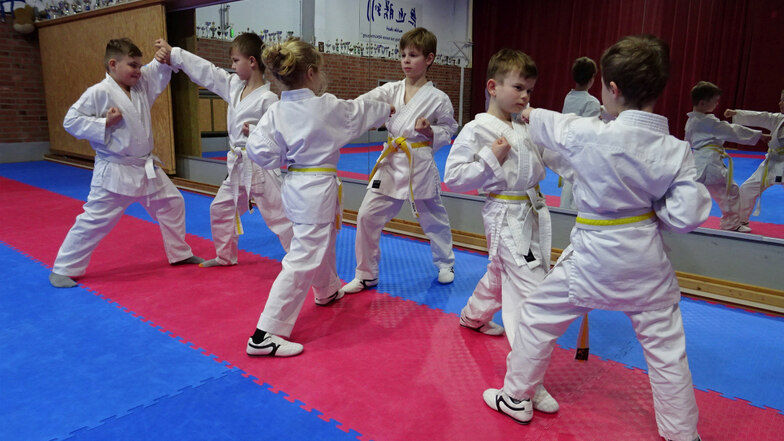 Die Teilnahme an den Karate-Probetrainingswochen ist kostenlos.