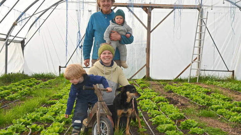 Fenja und Marcus Ender haben sich mit ihren Kindern Wilma und Pepe für ein Leben auf dem Land entschieden. Die Eheleute bauen ungewöhnliches Gemüse an. Erste Frühjahrskultur ist der Salat.