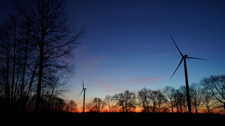 Naturschützer kritisieren Pläne für Windräder im Wald