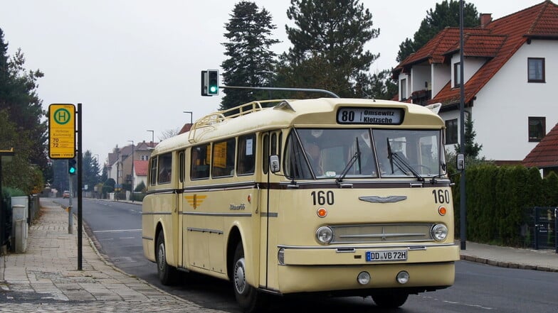 Bus-Oldies fahren in Dresden Linienbetrieb