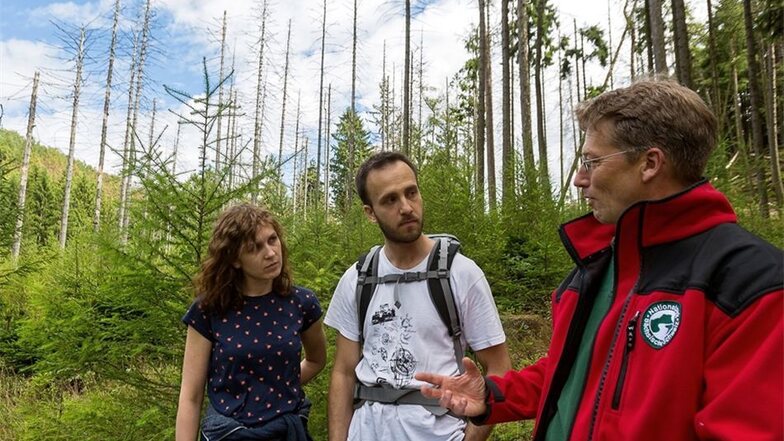 Nationalparksprecher Hanspeter Mayr erklärt Justyna und Grzegorz aus Polen, wieso man den Borkenkäfer duldet.