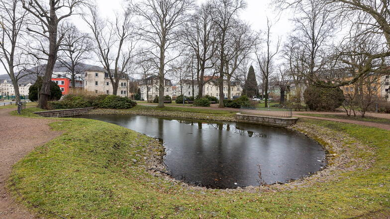 Der Goethepark mit seinem Teich steht unter Denkmalschutz. Er wurde 1902 angelegt.