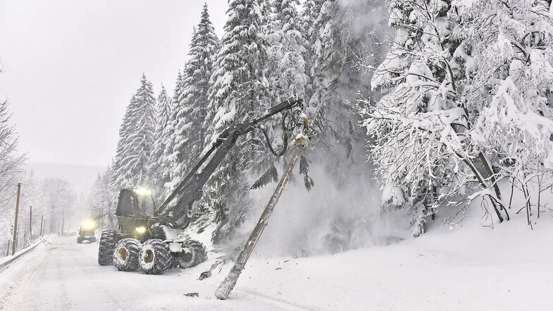 Schwer lastet der Schnee auf den Bäumen. Im Auftrag des Forstbezirks Bärenfels ist in diesen Tagen ein Harvester auf der B 170 zwischen Waldbärenburg und Baukahre unterwegs, um Bäume zu fällen, die sich gefährlich neigen
