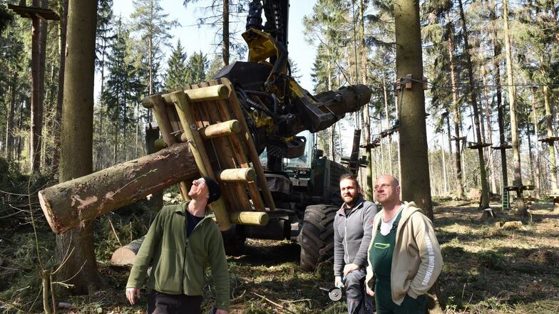René Petzold und Danny Schubert, die Inhaber des Kletterparks an der Malter, beraten mit dem Forstunternehmer Tilo Börner (v.l.), wie der nächste Baum im Klettergarten weggeräumt werden kann.