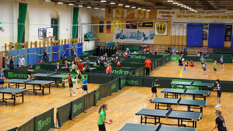31 Mannschaften aus ganz Sachsen sind bei der 31. Kinderolympiade in Döbeln angetreten.