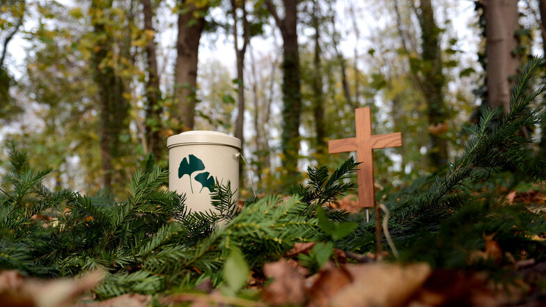 Eine Musterurne und ein Holzkreuz in einem Friedwald in Berlin. Überall in Deutschland wird ein ungebrochener Trend zu Waldbestattungen beobachtet. Auch im Friedwald von Deutsch-Paulsdorf fanden erste Beisetzungen statt.