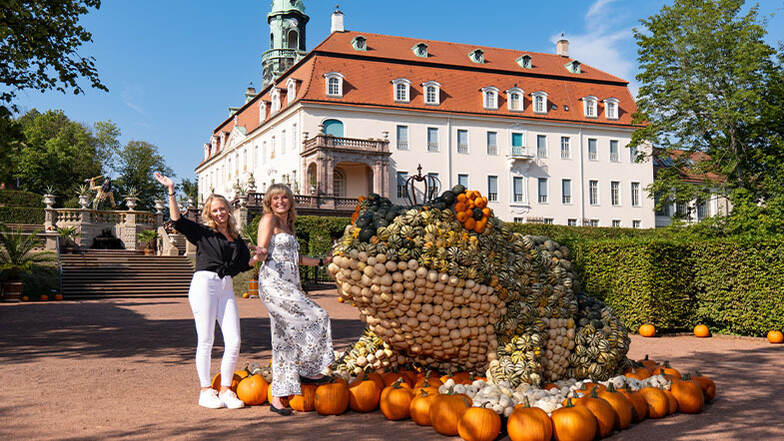 Königliche Kürbiskunst im Schloss & Park Lichtenwalde