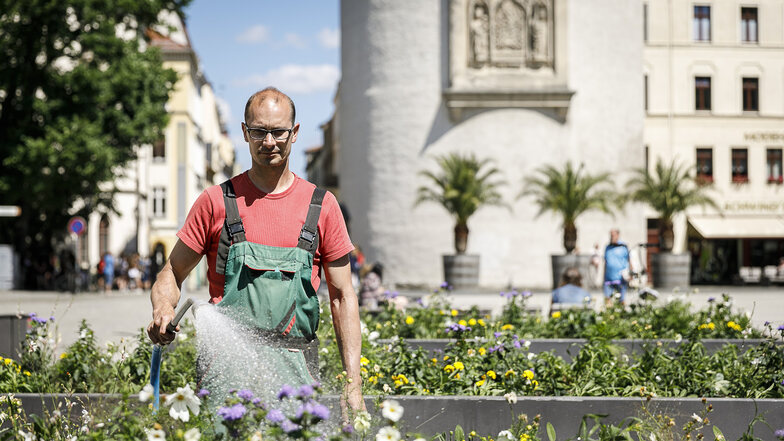 Robert Grohmann ist im Sommer oft mit dem Wassertankwagen im Görlitzer Stadtgebiet unterwegs. Hier spendiert er den Hochbeeten auf dem Marienplatz eine kräftige Dusche.