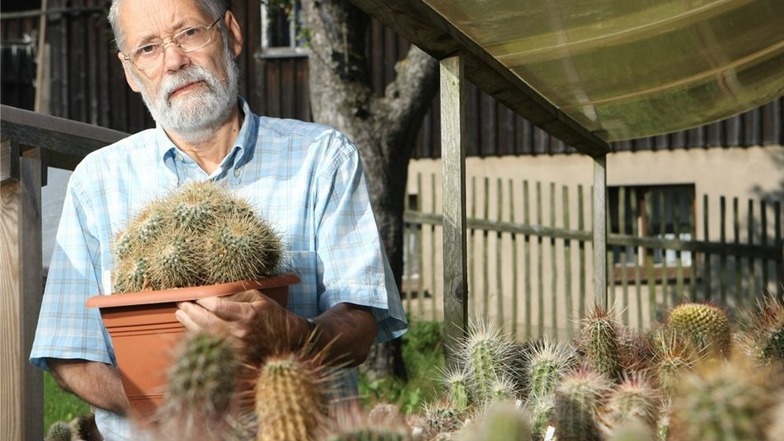 Gerhard Fiedlschuster aus Langenwolmsdorf ist Spezialist, wenn es um Kakteen geht. Der Pfarrer in Rente ist leidenschaftlicher Züchter dieser stachligen Pflanzen.