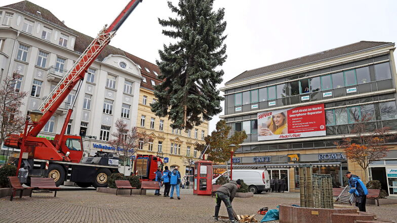 Ein Autokran ließ Riesas zweiten Weihnachtsbaum auf dem Kinovorplatz einschweben.