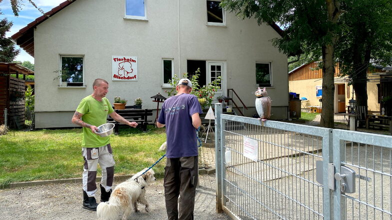 Das Tierheim in Bischdorf kämpft ums Überleben.