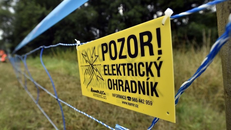 Ein Elektrozaun entlang einer Landstraße bei Zlin in Tschechien, aufgenommen am 4. August 2017. Die tschechischen Behörden verschärfen die Maßnahmen gegen die unter Wildschweinen grassierende Afrikanische Schweinepest.