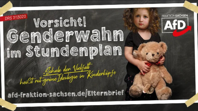 Die Plakate der sächsischen AfD zeigen unter anderem ein Mädchen, das einen Teddy mit Penis hält.