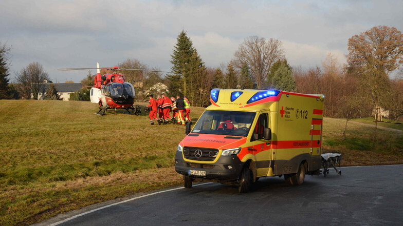Renault-Fahrer bei Unfall schwer verletzt