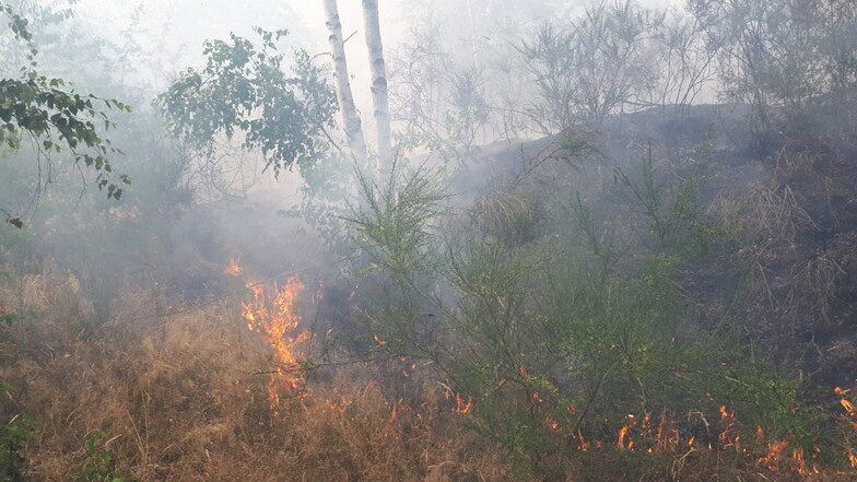 Der Revierförster geht davon aus, dass am Ende etwa 25 Hektar Heide abgebrannt sein werden. 