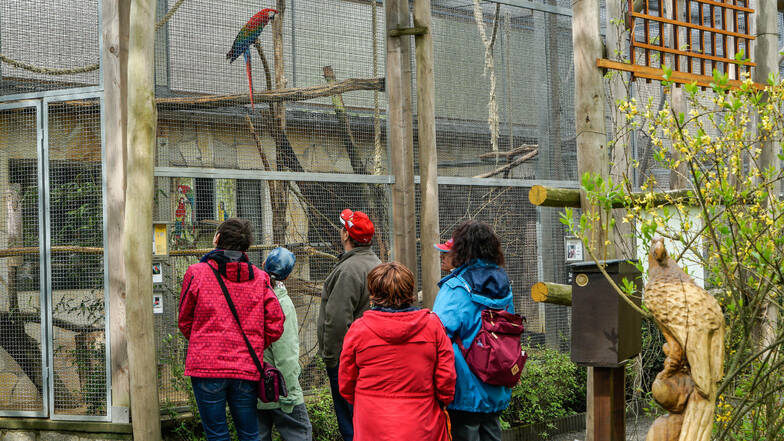 Nach mehreren Wochen Schließung im Frühjahr konnten Besucher den Tierpark in Bischofswerda ab 4. Mai wieder besuchen. Wegen der aktuellen Corona-Schutzverordnung ist er derzeit allerdings wieder geschlossen.