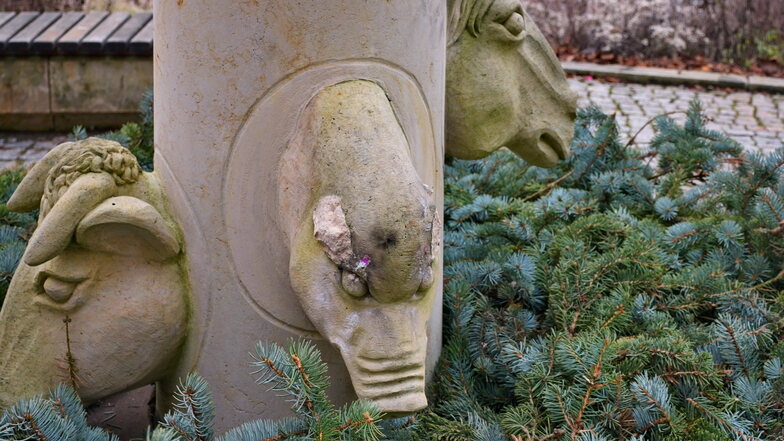 Mit Böllern wurde der Marktbrunnen in Lommatzsch beschädigt. Dem Schweinekopf wurden die Ohren abgesprengt, oben sind kleinere Beschädigungen wie am Stiel vom Dreschflegel zu sehen.