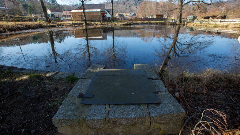 Der Teich im Elstraer Ortsteil Kindisch wird für den Hochwasserschutz und als Löschteich gebraucht, muss aber dringend saniert werden.