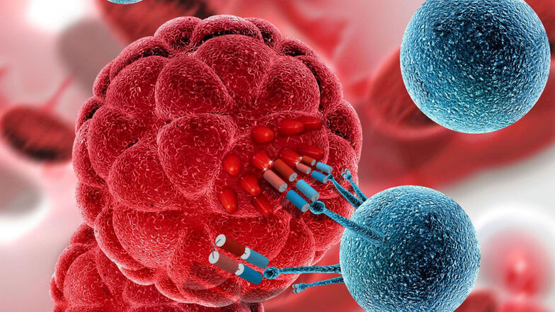 Neue Therapie gegen aggressive Tumorzellen