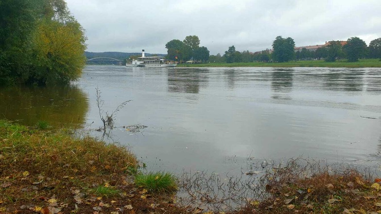 Die Elbe - hier an der Prießnitzmündung in Dresden - könnte den Pegel für Hochwasser-Alarmstufe 1 erreichen.