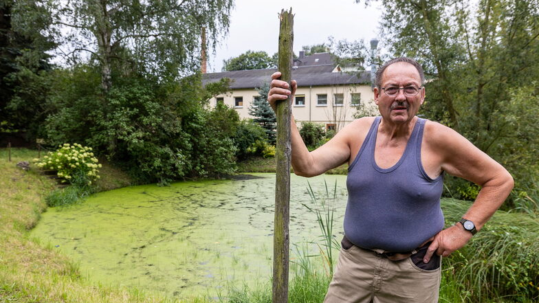 Dieser Teich in Eberhard Küttners Garten könnte ein schönes Biotop sein - wäre da nicht ein Abwasserproblem.